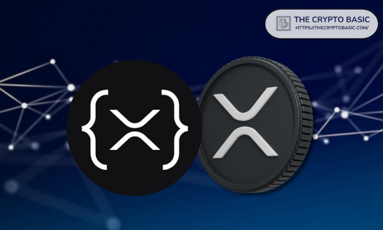 XRP历史首次突破:100万XRP持有者超过2700个钱包