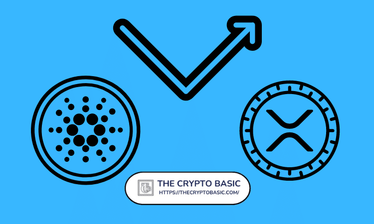 Tokyo Wallet plans to integrate XRPL, with collaboration with Cardano and XRP ecosystems imminent.