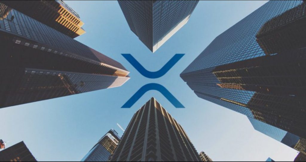 XRP 有可能突破1000美元吗?一位顶级分析师的权威答案