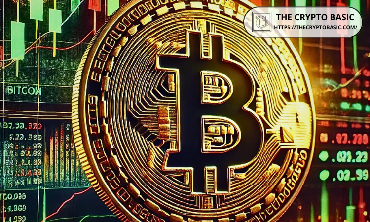 比特币市场繁荣,BitGo 申请 IPO 加速发展