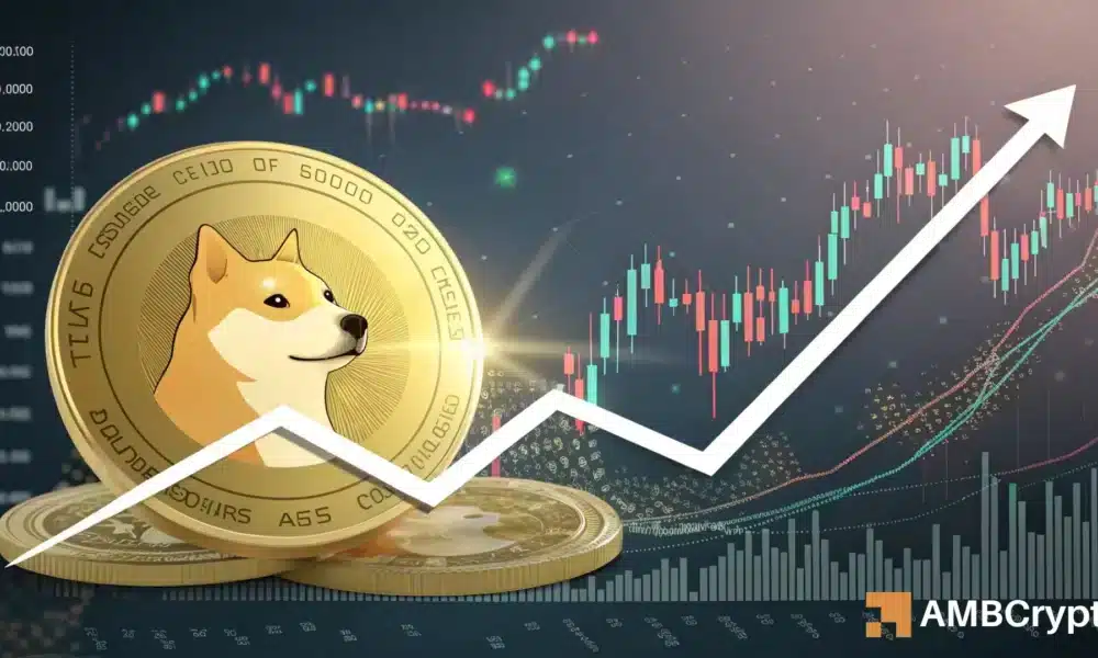 Attention Dogecoin Traders: Keep an Eye on <img src=
