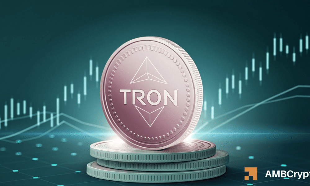Tron Bulls vs. Bears: The <img src=