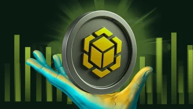 币安币超越 XRP 和 USDT 成为第三大数字资产；BNB 价格未来走势展望