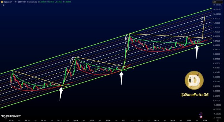 历史数据显示狗狗币价格年底有望达到11.71美元