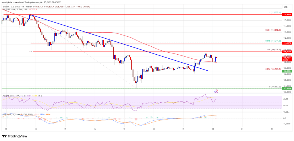 比特币价格下跌后企稳——复苏迹象初显
