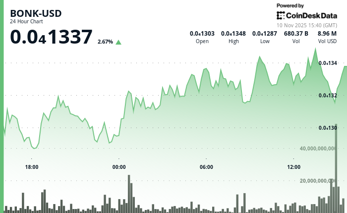 BONK股价上涨1.7%，延续突破势头