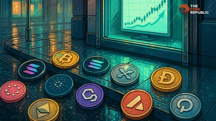 本周加密货币价格料将上涨：你必须了解的所有事项